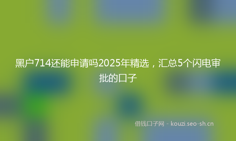 黑户714还能申请吗2025年精选，汇总5个闪电审批的口子