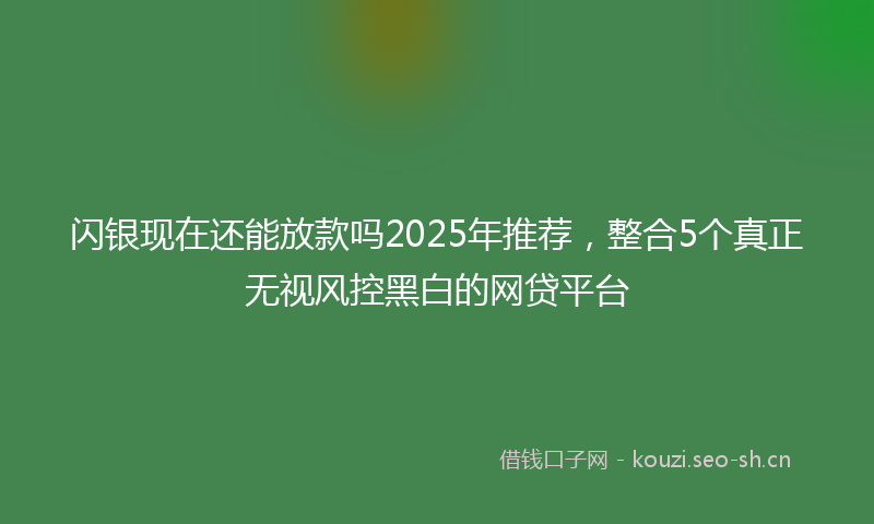 闪银现在还能放款吗2025年推荐,整合5个真正无视风控黑白的网贷平台