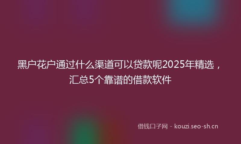 黑户花户通过什么渠道可以贷款呢2025年精选，汇总5个靠谱的借款软件