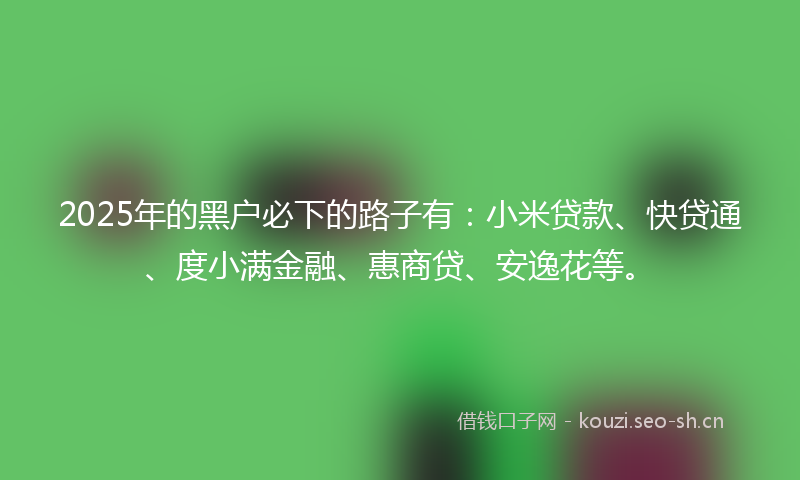 2025年的黑户必下的路子有：小米贷款、快贷通、度小满金融、惠商贷、安逸花等。