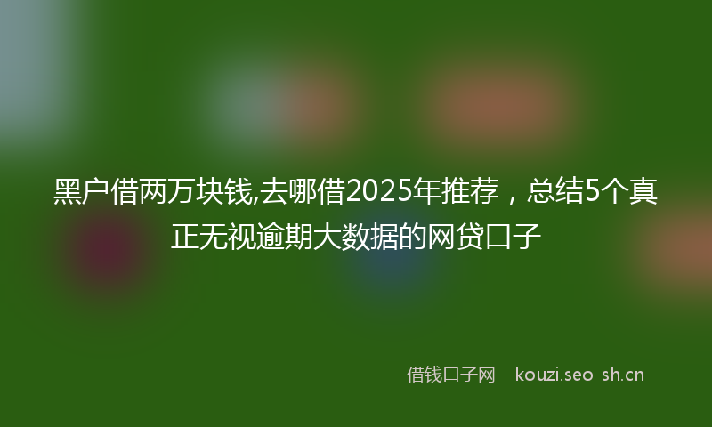 黑户借两万块钱,去哪借2025年推荐，总结5个真正无视逾期大数据的网贷口子