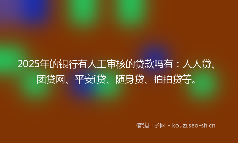 2025年的银行有人工审核的贷款吗有：人人贷、团贷网、平安i贷、随身贷、拍拍贷等。