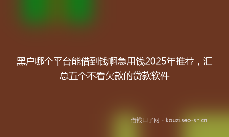 黑户哪个平台能借到钱啊急用钱2025年推荐,汇总五个不看欠款的贷款软件