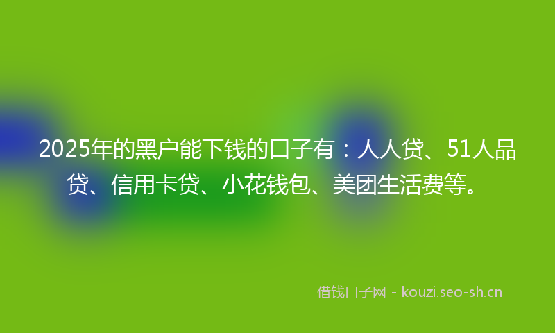 2025年的黑户能下钱的口子有：人人贷、51人品贷、信用卡贷、小花钱包、美团生活费等。