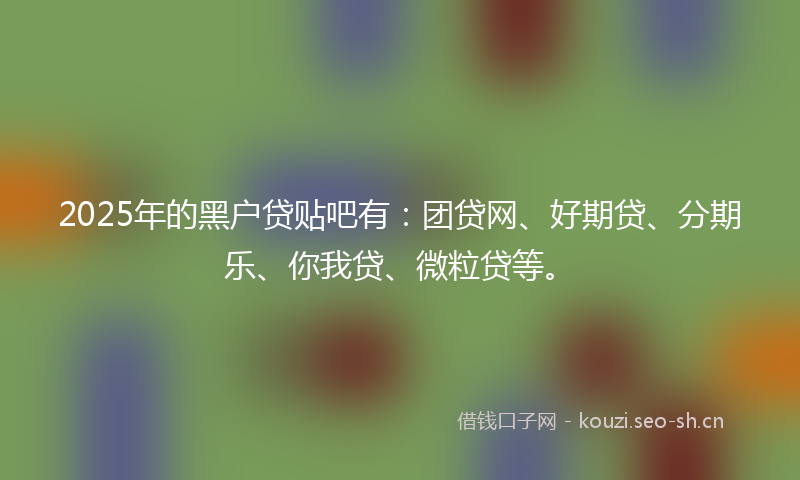 2025年的黑户贷贴吧有：团贷网、好期贷、分期乐、你我贷、微粒贷等。