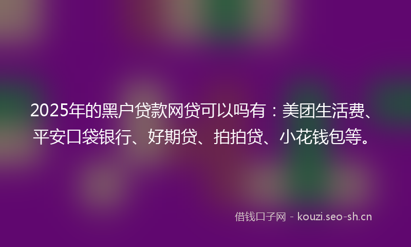 2025年的黑户贷款网贷可以吗有:美团生活费、平安口袋银行、好期贷、拍拍贷、小花钱包等。
