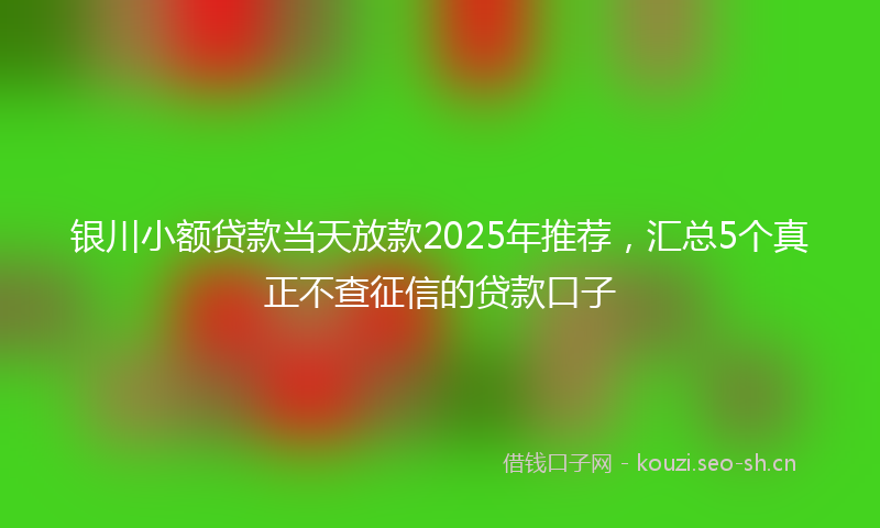 银川小额贷款当天放款2025年推荐，汇总5个真正不查征信的贷款口子