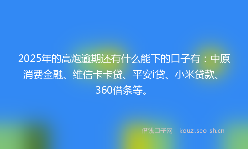 2025年的高炮逾期还有什么能下的口子有：中原消费金融、维信卡卡贷、平安i贷、小米贷款、360借条等。