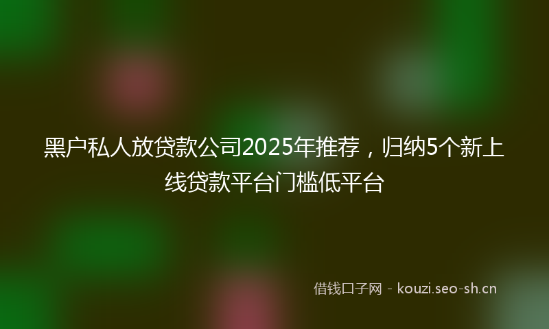 黑户私人放贷款公司2025年推荐，归纳5个新上线贷款平台门槛低平台