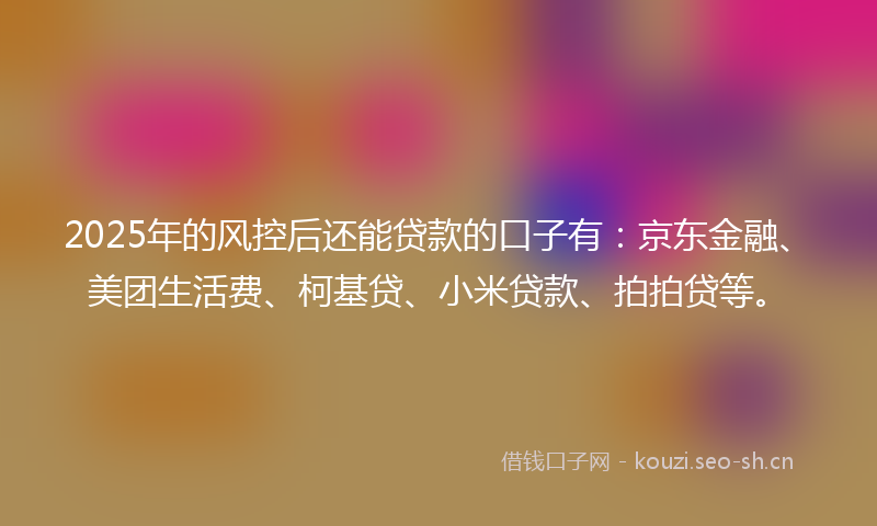 2025年的风控后还能贷款的口子有：京东金融、美团生活费、柯基贷、小米贷款、拍拍贷等。