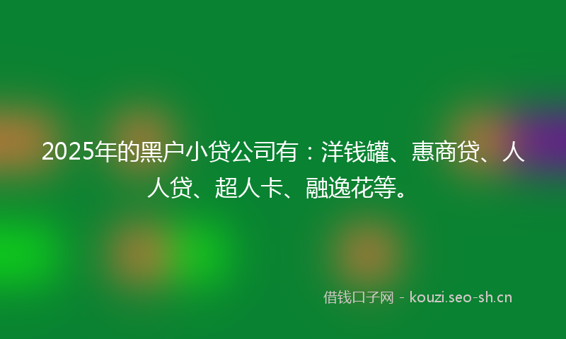 2025年的黑户小贷公司有：洋钱罐、惠商贷、人人贷、超人卡、融逸花等。