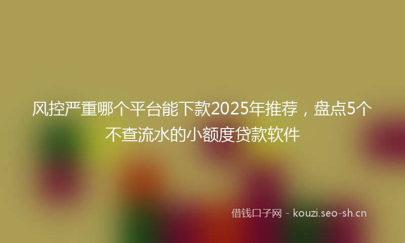 风控严重哪个平台能下款2025年推荐，盘点5个不查流水的小额度贷款软件