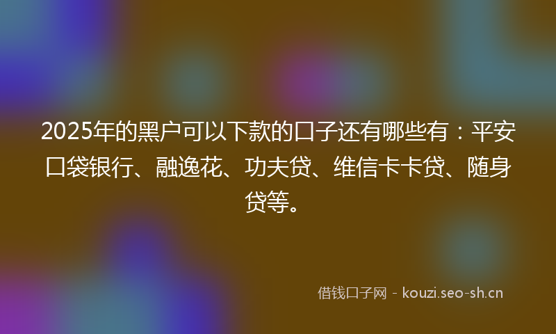 2025年的黑户可以下款的口子还有哪些有:平安口袋银行、融逸花、功夫贷、维信卡卡贷、随身贷等。