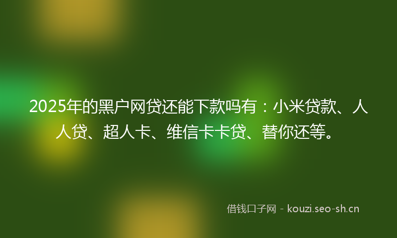 2025年的黑户网贷还能下款吗有：小米贷款、人人贷、超人卡、维信卡卡贷、替你还等。