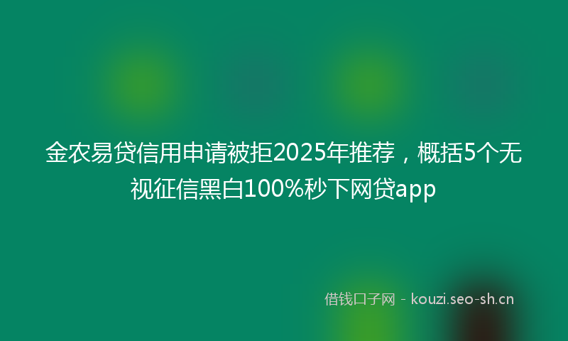 金农易贷信用申请被拒2025年推荐，概括5个无视征信黑白100%秒下网贷app