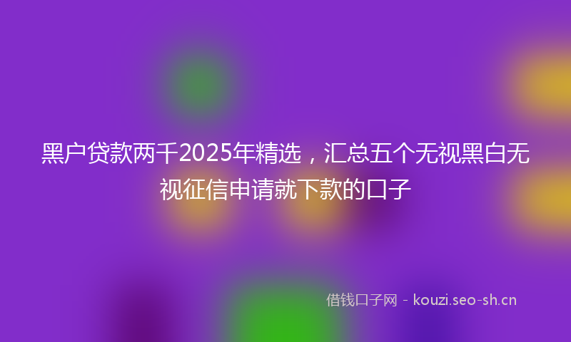 黑户贷款两千2025年精选，汇总五个无视黑白无视征信申请就下款的口子