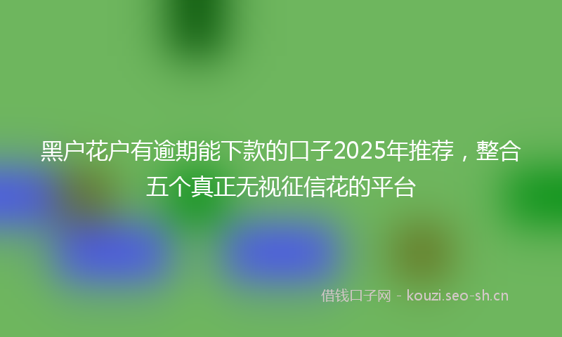 黑户花户有逾期能下款的口子2025年推荐，整合五个真正无视征信花的平台