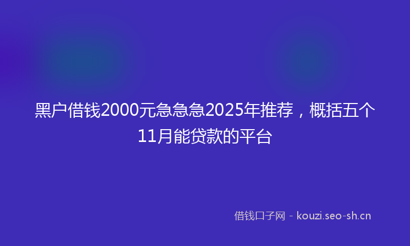 黑户借钱2000元急急急2025年推荐,概括五个11月能贷款的平台