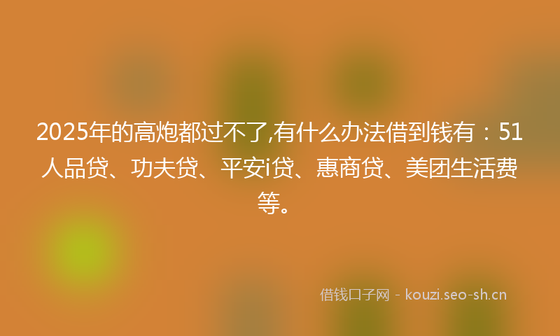 2025年的高炮都过不了,有什么办法借到钱有：51人品贷、功夫贷、平安i贷、惠商贷、美团生活费等。