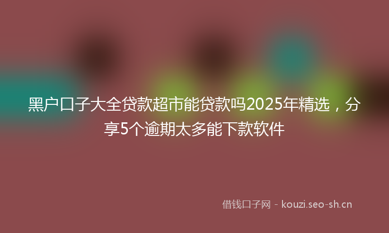 黑户口子大全贷款超市能贷款吗2025年精选,分享5个逾期太多能下款软件