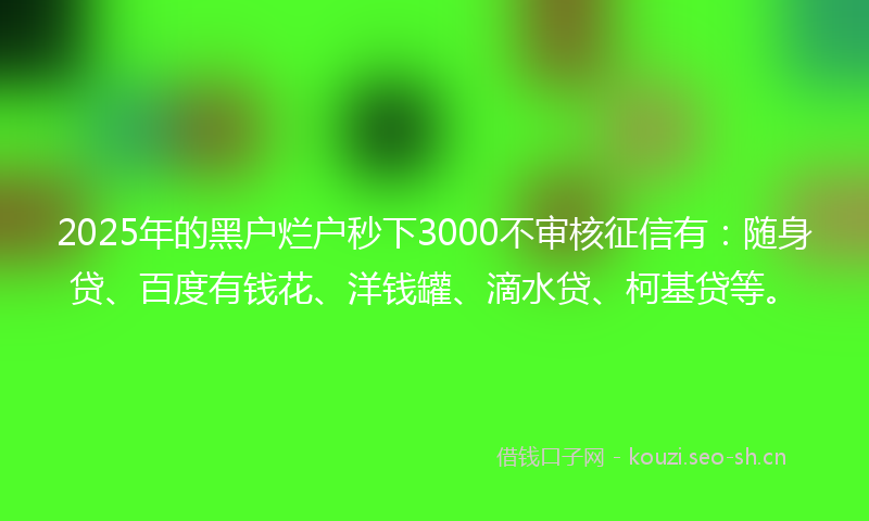 2025年的黑户烂户秒下3000不审核征信有：随身贷、百度有钱花、洋钱罐、滴水贷、柯基贷等。