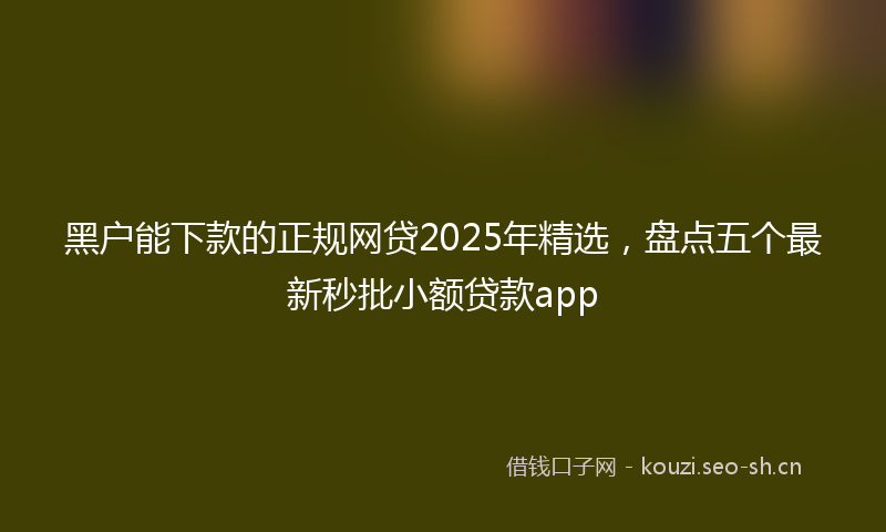 黑户能下款的正规网贷2025年精选，盘点五个最新秒批小额贷款app