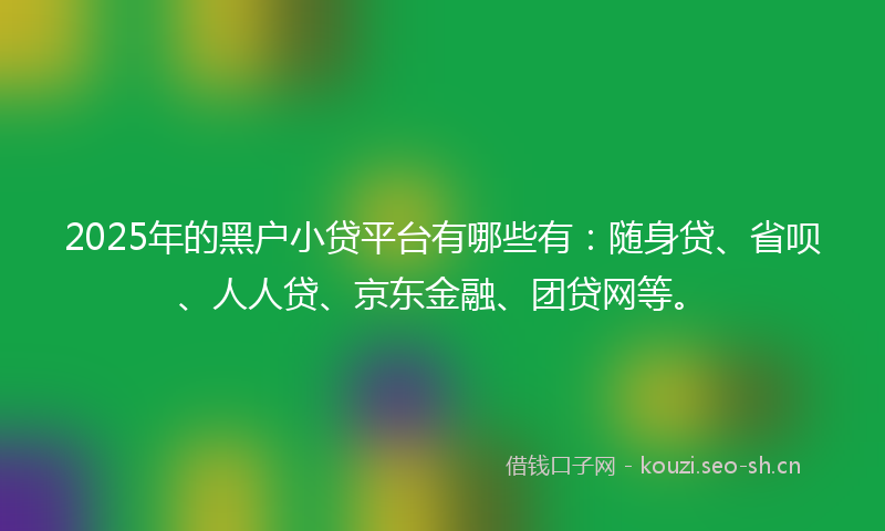 2025年的黑户小贷平台有哪些有：随身贷、省呗、人人贷、京东金融、团贷网等。