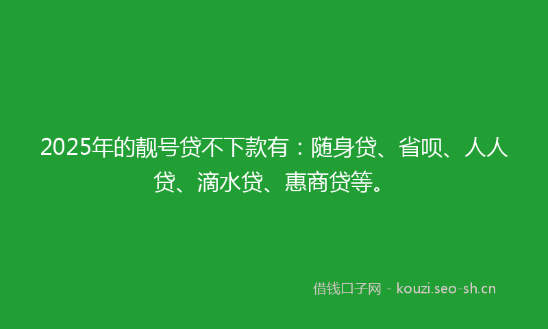 2025年的靓号贷不下款有：随身贷、省呗、人人贷、滴水贷、惠商贷等。