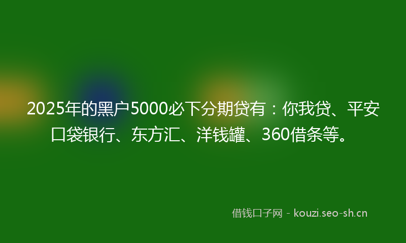 2025年的黑户5000必下分期贷有:你我贷、平安口袋银行、东方汇、洋钱罐、360借条等。