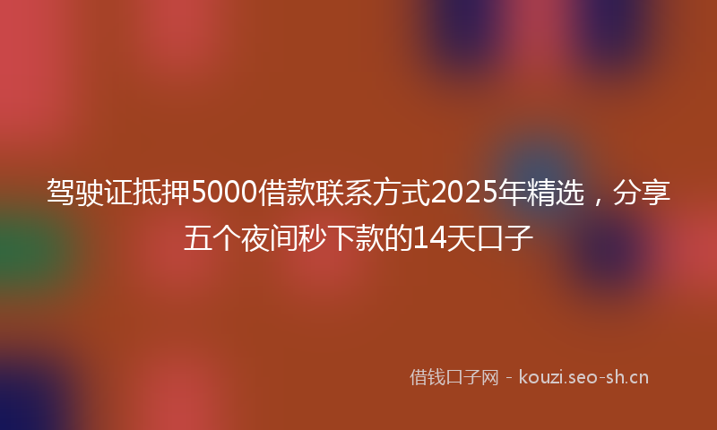 驾驶证抵押5000借款联系方式2025年精选，分享五个夜间秒下款的14天口子