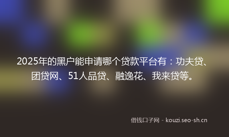 2025年的黑户能申请哪个贷款平台有：功夫贷、团贷网、51人品贷、融逸花、我来贷等。