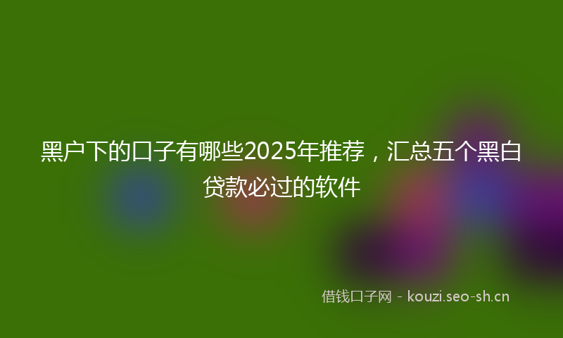 黑户下的口子有哪些2025年推荐，汇总五个黑白贷款必过的软件