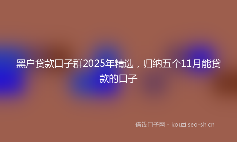 黑户贷款口子群2025年精选，归纳五个11月能贷款的口子