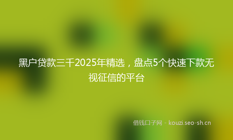 黑户贷款三千2025年精选，盘点5个快速下款无视征信的平台