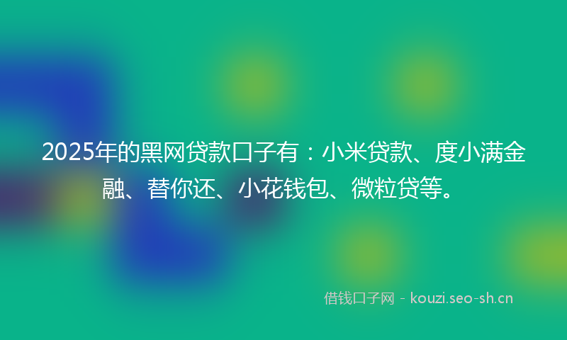 2025年的黑网贷款口子有：小米贷款、度小满金融、替你还、小花钱包、微粒贷等。