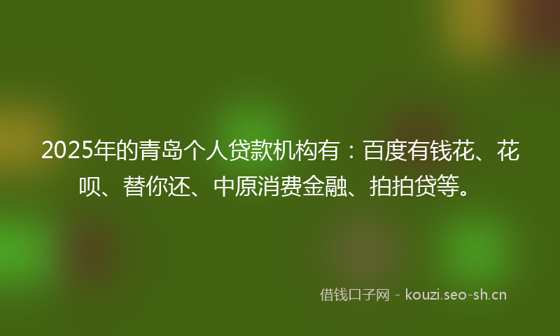2025年的青岛个人贷款机构有：百度有钱花、花呗、替你还、中原消费金融、拍拍贷等。