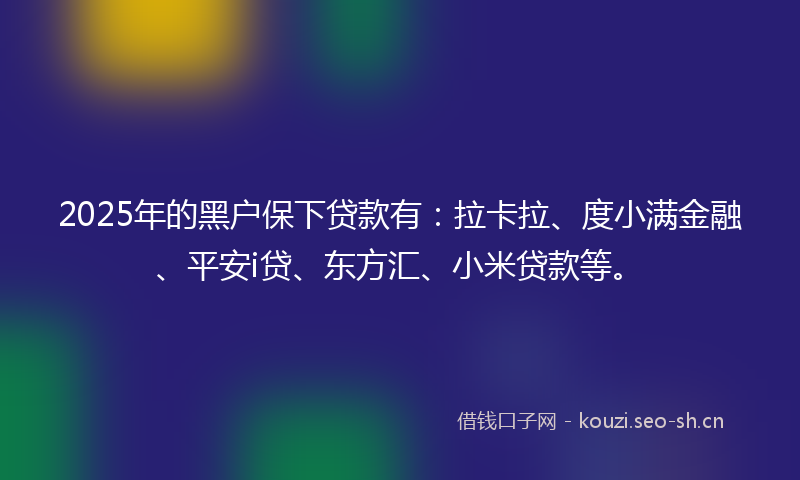 2025年的黑户保下贷款有：拉卡拉、度小满金融、平安i贷、东方汇、小米贷款等。