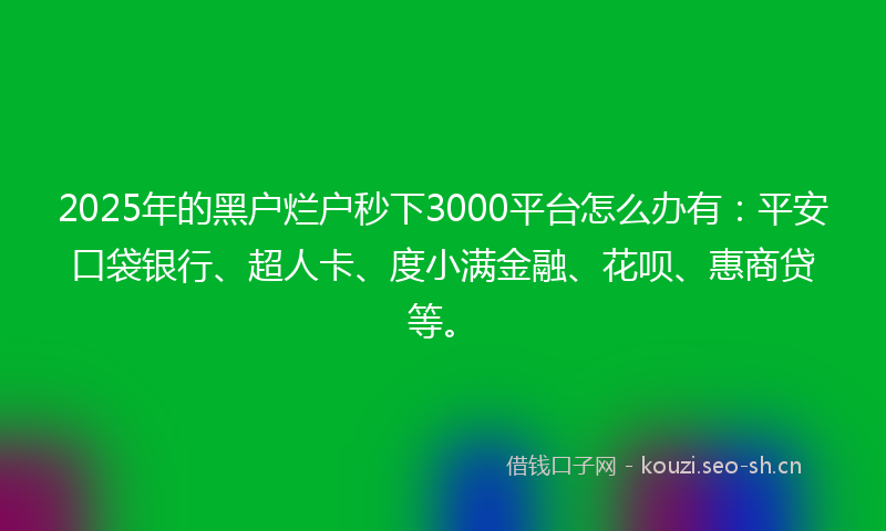 2025年的黑户烂户秒下3000平台怎么办有：平安口袋银行、超人卡、度小满金融、花呗、惠商贷等。