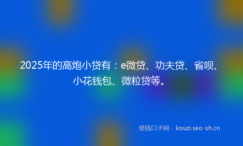 2025年的高炮小贷有：e微贷、功夫贷、省呗、小花钱包、微粒贷等。