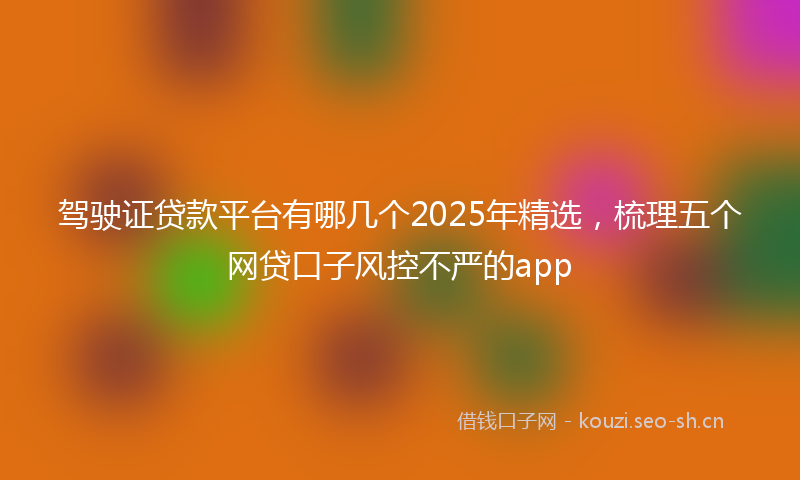 驾驶证贷款平台有哪几个2025年精选，梳理五个网贷口子风控不严的app