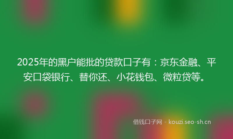2025年的黑户能批的贷款口子有：京东金融、平安口袋银行、替你还、小花钱包、微粒贷等。
