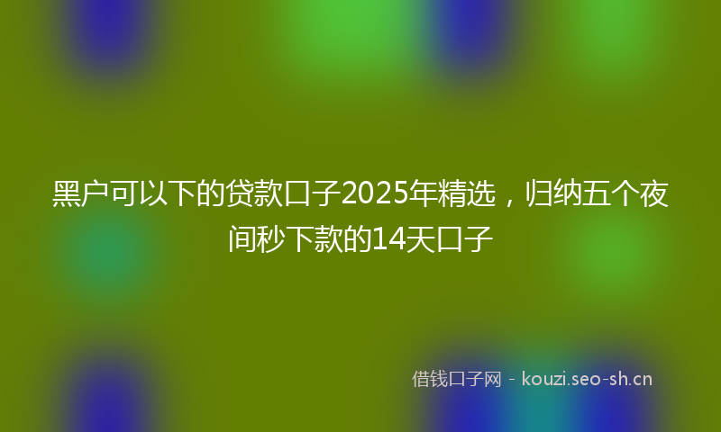 黑户可以下的贷款口子2025年精选,归纳五个夜间秒下款的14天口子