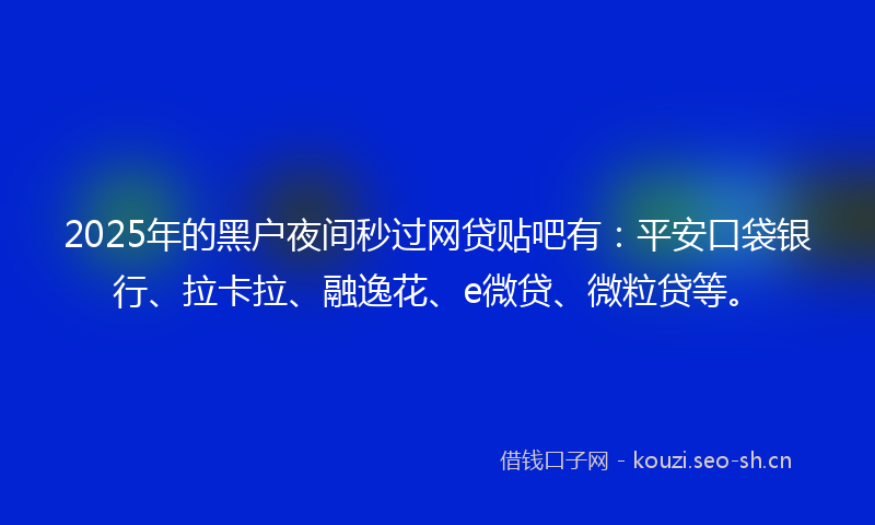 2025年的黑户夜间秒过网贷贴吧有:平安口袋银行、拉卡拉、融逸花、e微贷、微粒贷等。