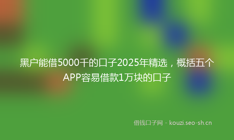 黑户能借5000千的口子2025年精选，概括五个APP容易借款1万块的口子