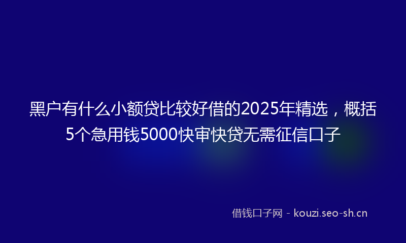 黑户有什么小额贷比较好借的2025年精选，概括5个急用钱5000快审快贷无需征信口子