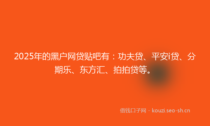 2025年的黑户网贷贴吧有：功夫贷、平安i贷、分期乐、东方汇、拍拍贷等。