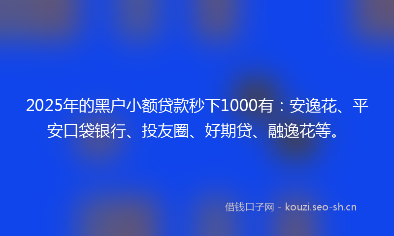 2025年的黑户小额贷款秒下1000有：安逸花、平安口袋银行、投友圈、好期贷、融逸花等。