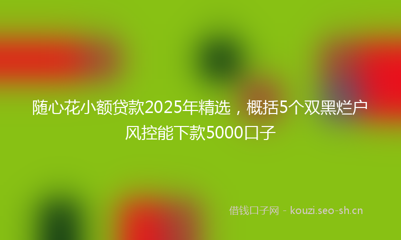 随心花小额贷款2025年精选，概括5个双黑烂户风控能下款5000口子