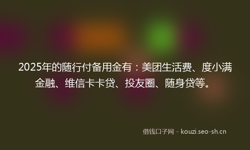 2025年的随行付备用金有：美团生活费、度小满金融、维信卡卡贷、投友圈、随身贷等。