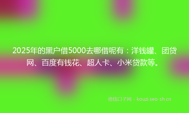 2025年的黑户借5000去哪借呢有：洋钱罐、团贷网、百度有钱花、超人卡、小米贷款等。